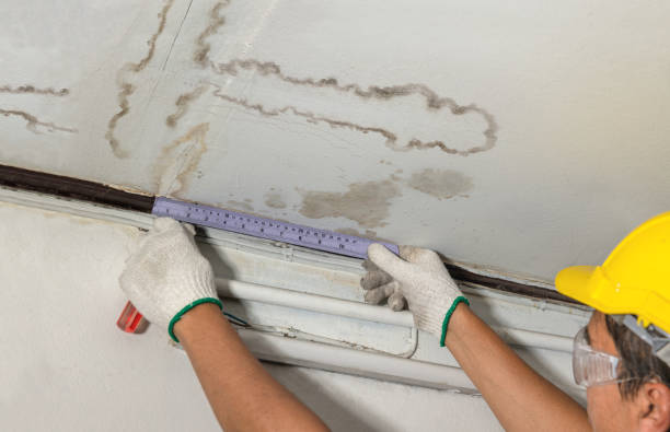 Reliable Water Damage contractor in Deweyville, UT by Water Damage Irwin